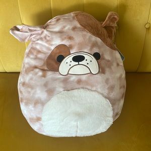 Bronk 16” Squishmallow